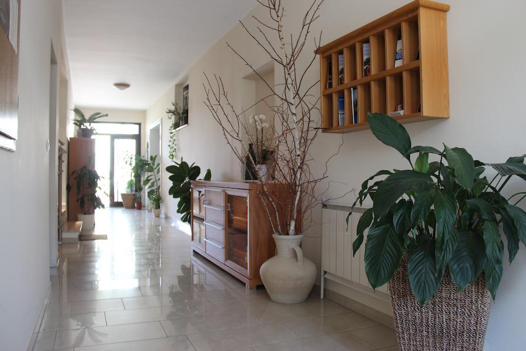 Haus Renee Bed and Breakfast Podersdorf am See Buitenkant foto